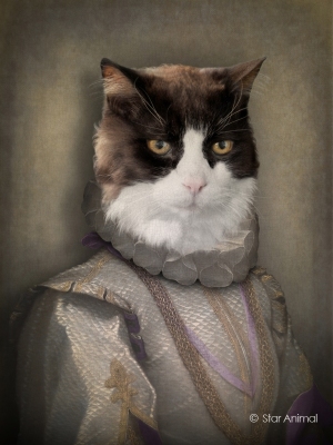 ELEONOR de BRUGGES
