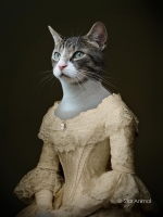 Anastasia (princesses russes)