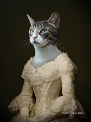 Anastasia (princesses russes)