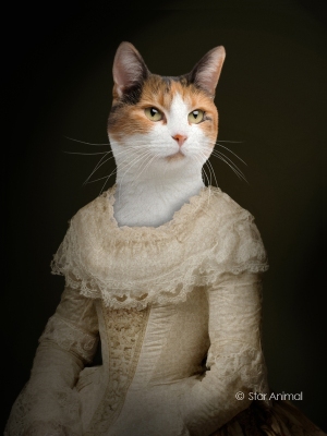 Olga (princesses russes)