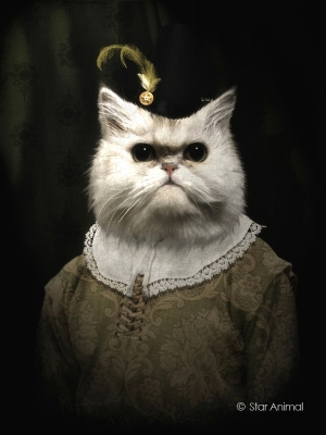 Philippe tyberghien
Portrait animalier
152 rue championnet
75018 Paris
06 51 45 54 99