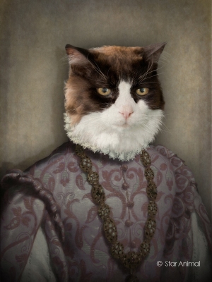 Philippe tyberghien
Portrait animalier
152 rue championnet
75018 Paris
06 51 45 54 99