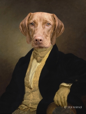 Philippe tyberghien
Portrait animalier
152 rue championnet
75018 Paris
06 51 45 54 99