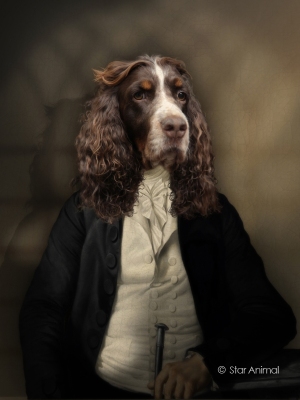 Philippe tyberghien
Portrait animalier
152 rue championnet
75018 Paris
06 51 45 54 99