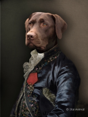 Philippe tyberghien
Portrait animalier
152 rue championnet
75018 Paris
06 51 45 54 99
Philippe tyberghien
Portrait animalier
152 rue championnet
75018 Paris
06 51 45 54 99