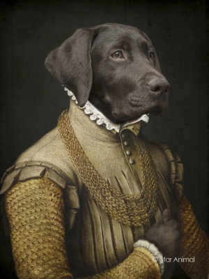 Philippe tyberghien
Portrait animalier
152 rue championnet
75018 Paris
06 51 45 54 99
Philippe tyberghien
Portrait animalier
152 rue championnet
75018 Paris
06 51 45 54 99