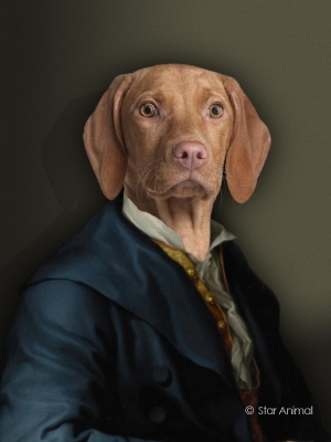 Philippe tyberghien
Portrait animalier
152 rue championnet
75018 Paris
06 51 45 54 99
Philippe tyberghien
Portrait animalier
152 rue championnet
75018 Paris
06 51 45 54 99