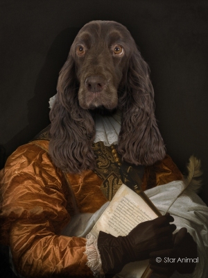 Philippe tyberghien
Portrait animalier
152 rue championnet
75018 Paris
06 51 45 54 99
Philippe tyberghien
Portrait animalier
152 rue championnet
75018 Paris
06 51 45 54 99