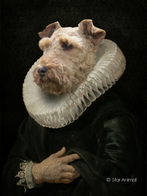 Philippe tyberghien
Portrait animalier
152 rue championnet
75018 Paris
06 51 45 54 99