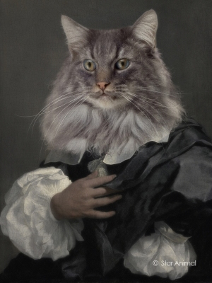 Philippe tyberghien
Portrait animalier
152 rue championnet
75018 Paris
06 51 45 54 99