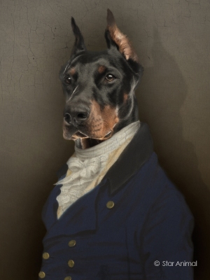 Philippe tyberghien
Portrait animalier
152 rue championnet
75018 Paris
06 51 45 54 99