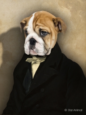 Philippe tyberghien
Portrait animalier
152 rue championnet
75018 Paris
06 51 45 54 99