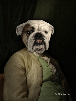 Philippe tyberghien
Portrait animalier
152 rue championnet
75018 Paris
06 51 45 54 99