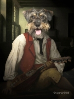 Le joueur de luth