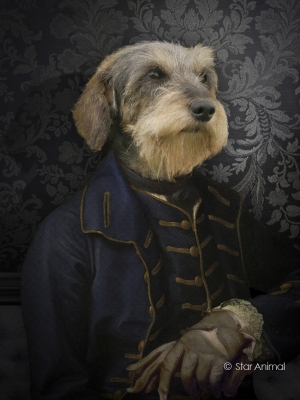 le prince de Conti
