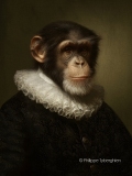 Le chimpanzé