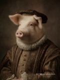 The Tudor collection - le cochon