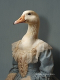 Le cygne