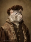 The Tudor collection - le rat