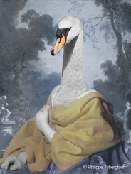 Lady swan