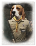 Scout