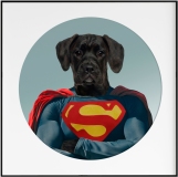 Superdog