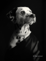 Doris