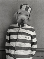 Charlie