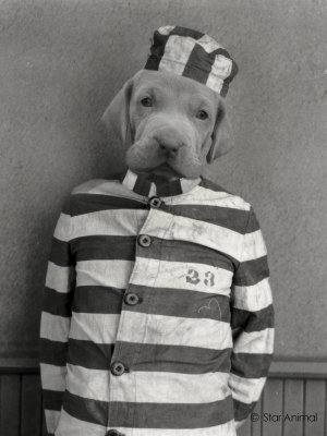 Charlie