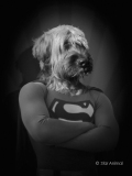 Superdog