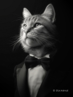 Walter