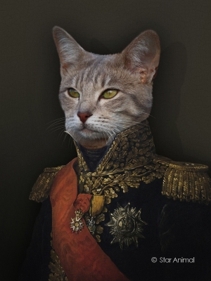 Maréchal