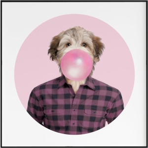 Bubble pink