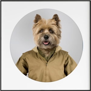 Flying jacket
